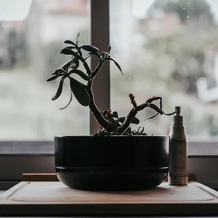 Διαμέρισμα F3 Neuf Et Equipe Avec Balcon 