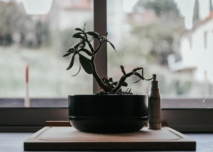 Lägenhet F3 Neuf Et Equipe Avec Balcon 