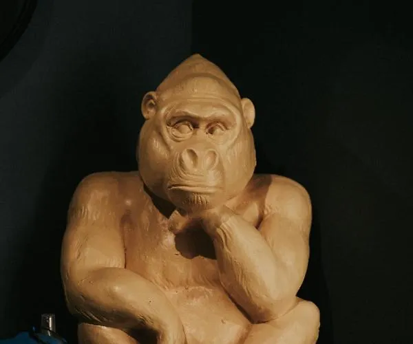 F3 Neuf Et Equipe Avec Balcon 